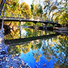 North Branch of the Chicago River in Caldwell Woods 